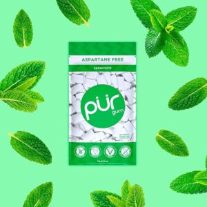 PUR Gum Spearmint Pieces Aspartame