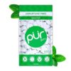 PUR Gum Spearmint Pieces Aspartame